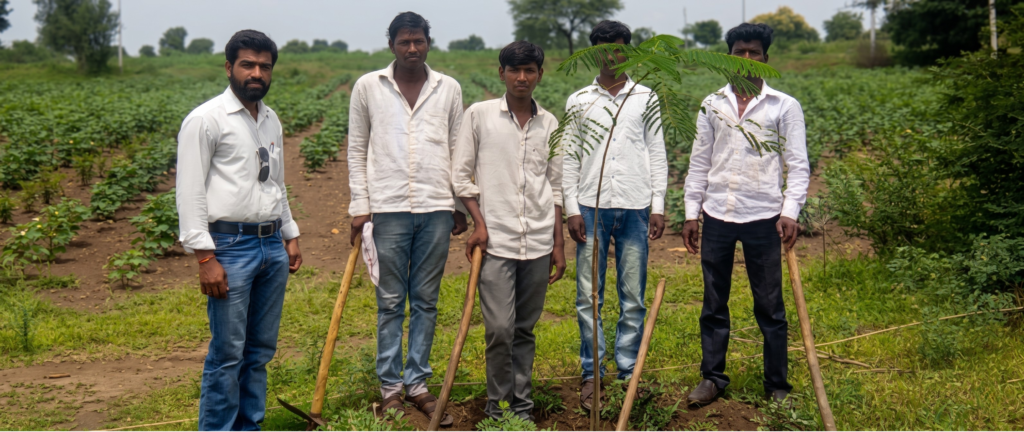 Tree Plantation Campaign